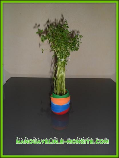 bricolage-enfant-fete-des-meres-pot-de-ballons-en-fleurs.jpg